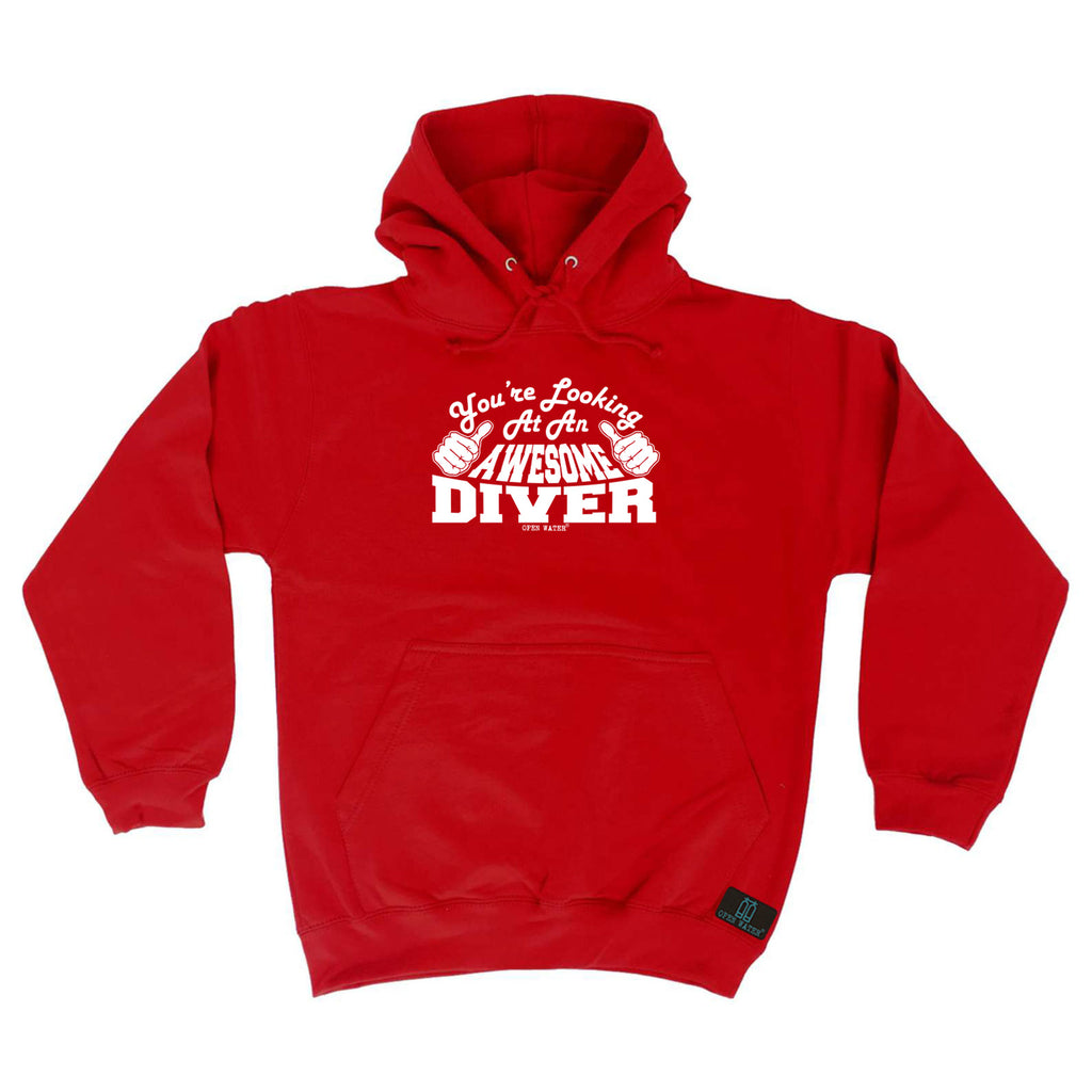 Youre Looking At An Awesome Diver Ow - Funny Hoodies Hoodie