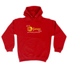 Its A Gemin Thing You Wouldnt Understand - Funny Hoodies Hoodie