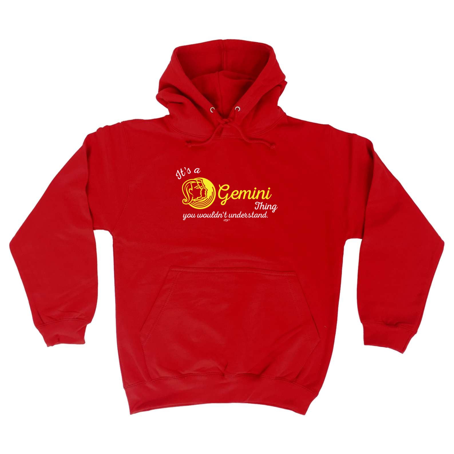 Its A Gemin Thing You Wouldnt Understand - Funny Hoodies Hoodie