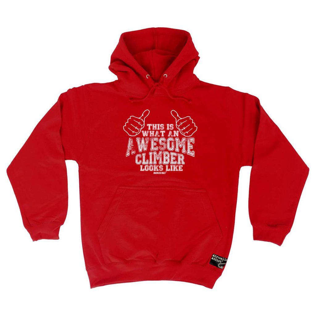 Aa This Is Awesome Climber - Funny Hoodies Hoodie