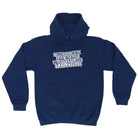 Wish Could Speak Idiot - Funny Hoodies Hoodie