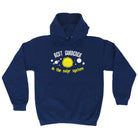 Best Gardener Solar System - Funny Hoodies Hoodie