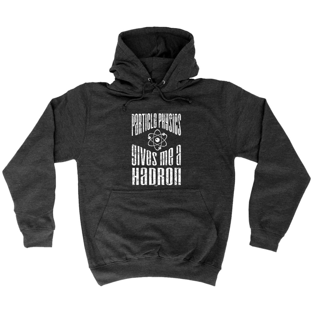 Particle Physics Gives Me A Hadron - Funny Hoodies Hoodie