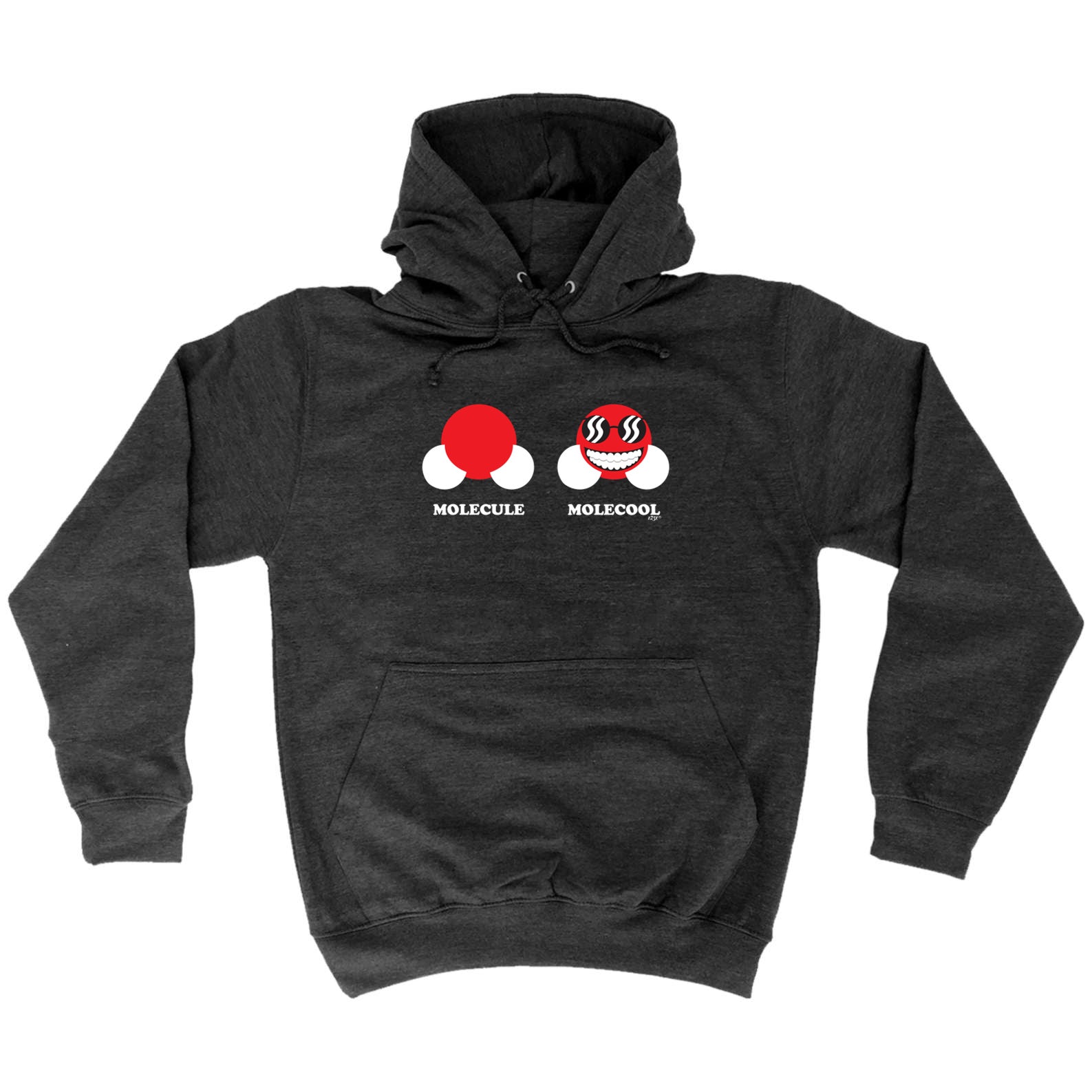 Molecule Molecool - Funny Hoodies Hoodie