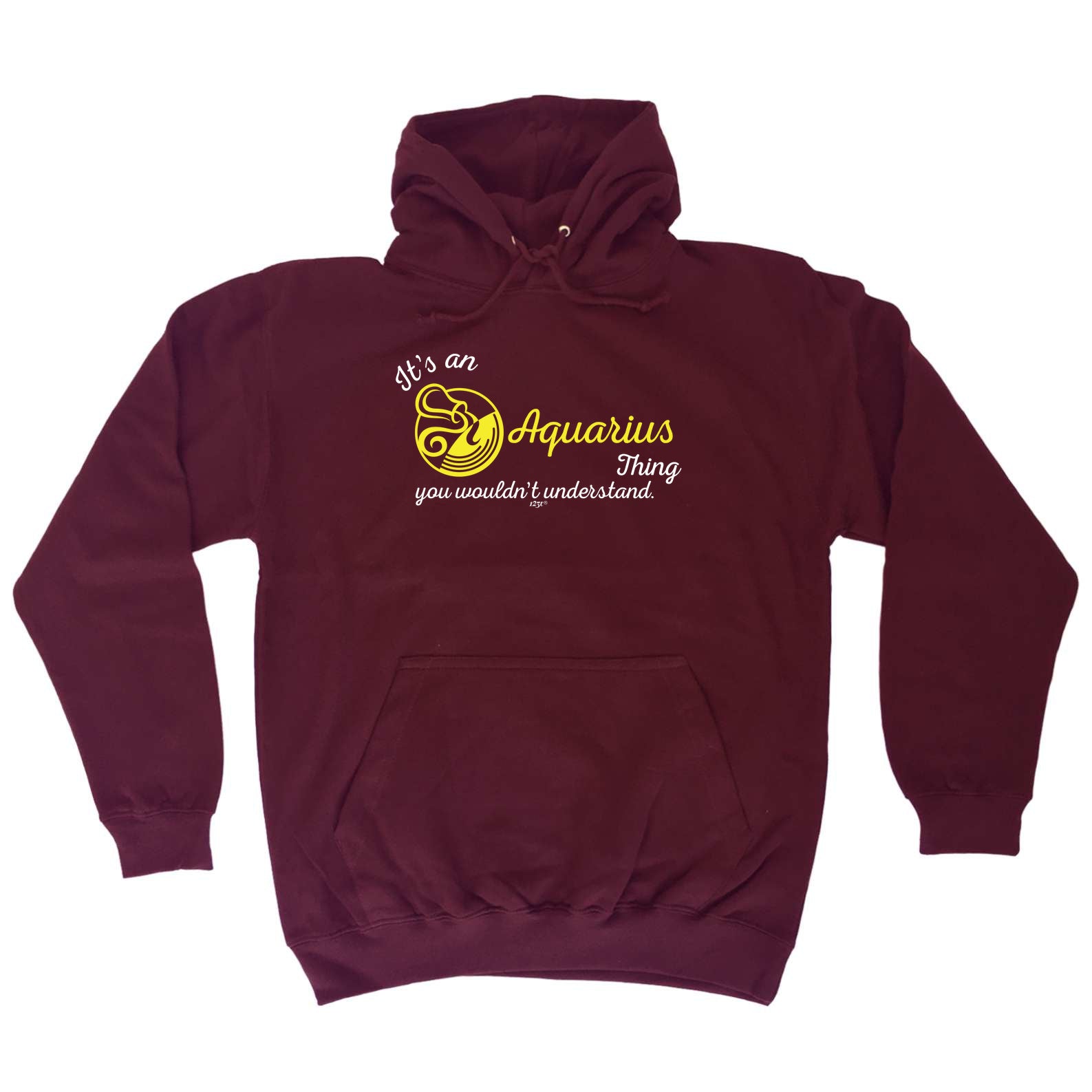Its An Aquarius Thing You Wouldnt Understand - Funny Hoodies Hoodie