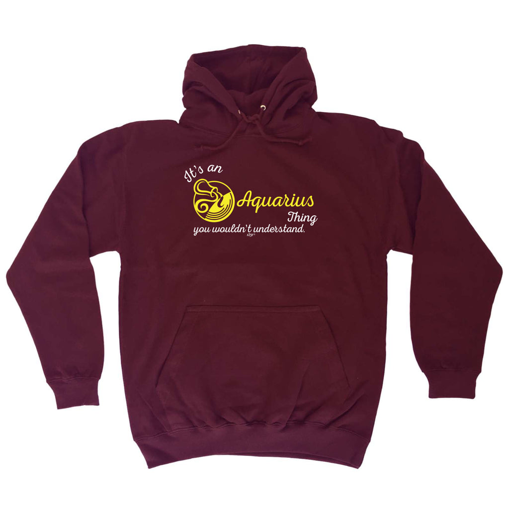 Its An Aquarius Thing You Wouldnt Understand - Funny Hoodies Hoodie