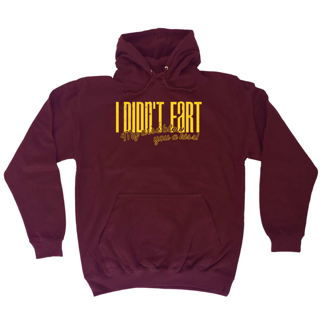 Didnt Fart My Arse Blew You A Kiss - Funny Hoodies Hoodie