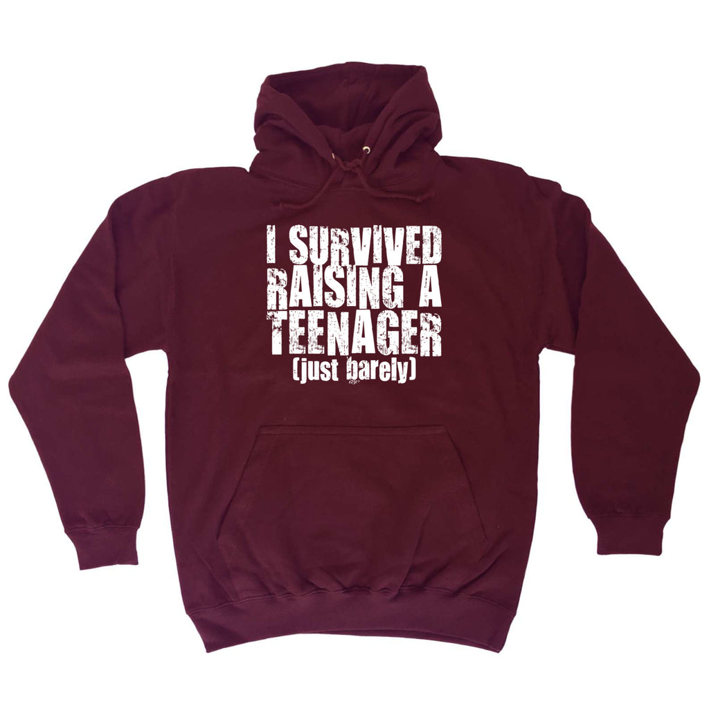 Survived Raising A Teenager - Funny Hoodies Hoodie