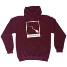 Old Picture Of Me - Funny Hoodies Hoodie