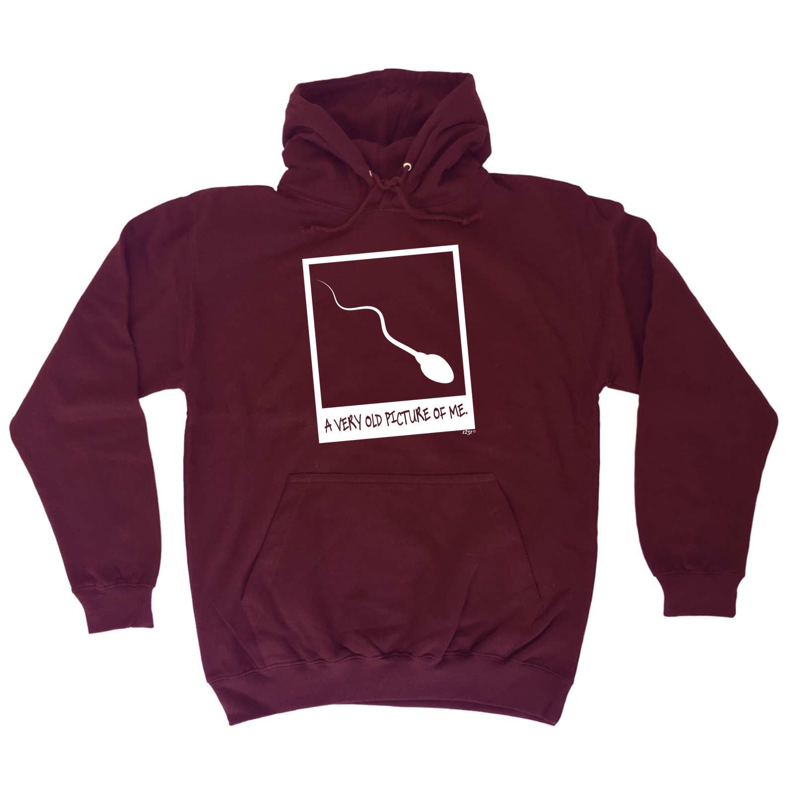 Old Picture Of Me - Funny Hoodies Hoodie