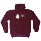 Believe Santa Christmas - Funny Hoodies Hoodie