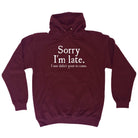 Sorry Im Late Just Didnt Want To Come - Funny Hoodies Hoodie