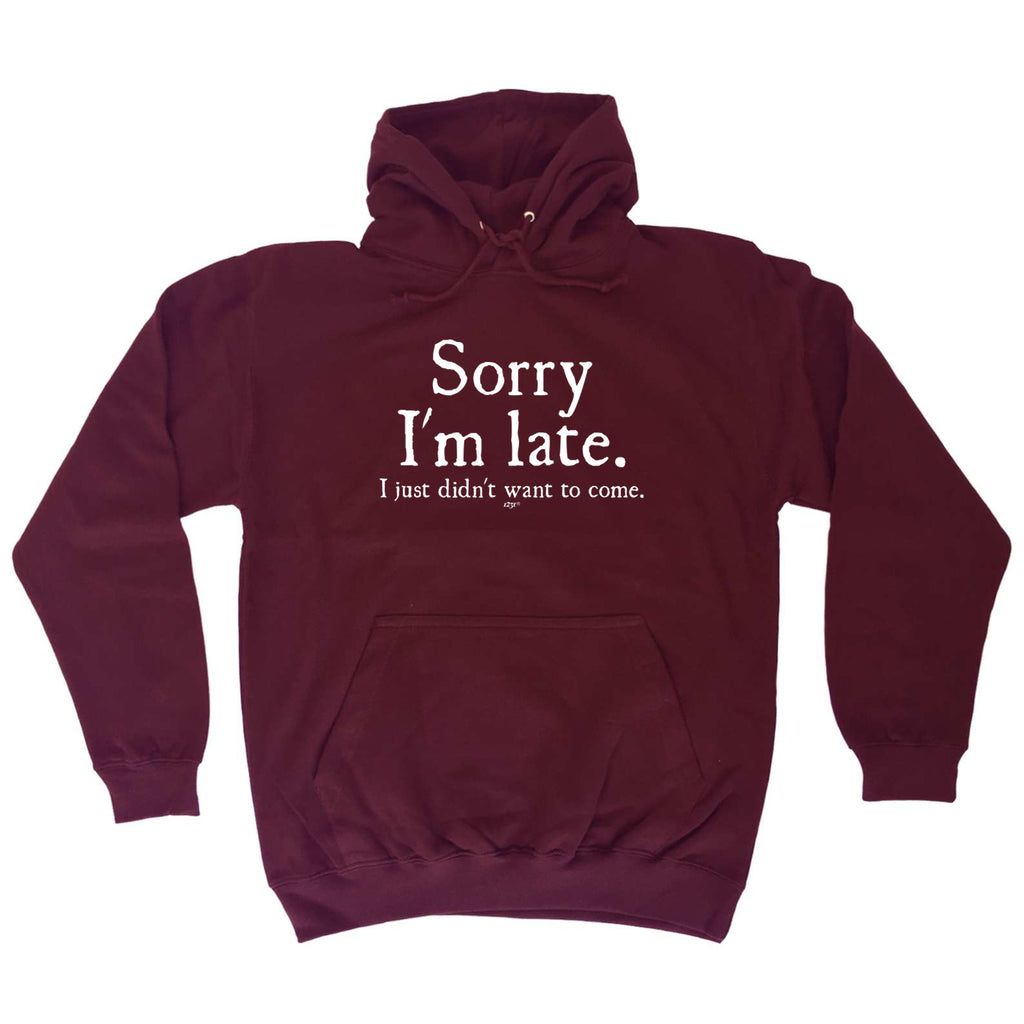 Sorry Im Late Just Didnt Want To Come - Funny Hoodies Hoodie