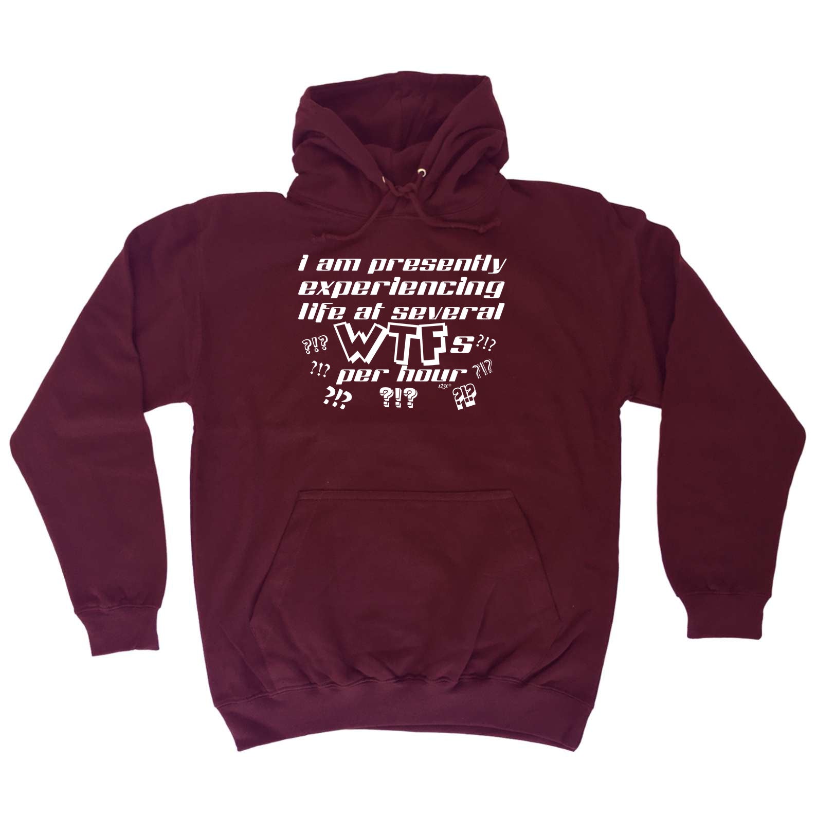 Presently Experiencing Life At Several Wtfs Per Hour - Funny Hoodies Hoodie