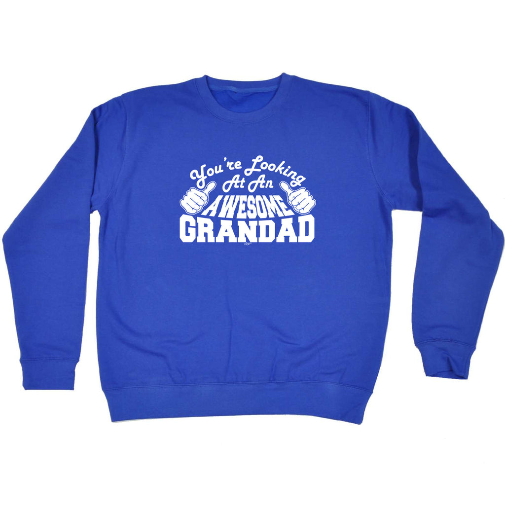 Youre Looking At An Awesome Grandad - Funny Sweatshirt