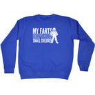 My Farts Hospitalise Small Children - Funny Sweatshirt