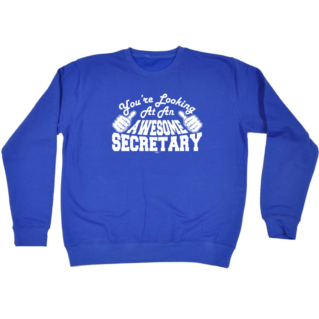 Youre Looking At An Awesome Secretary - Funny Sweatshirt