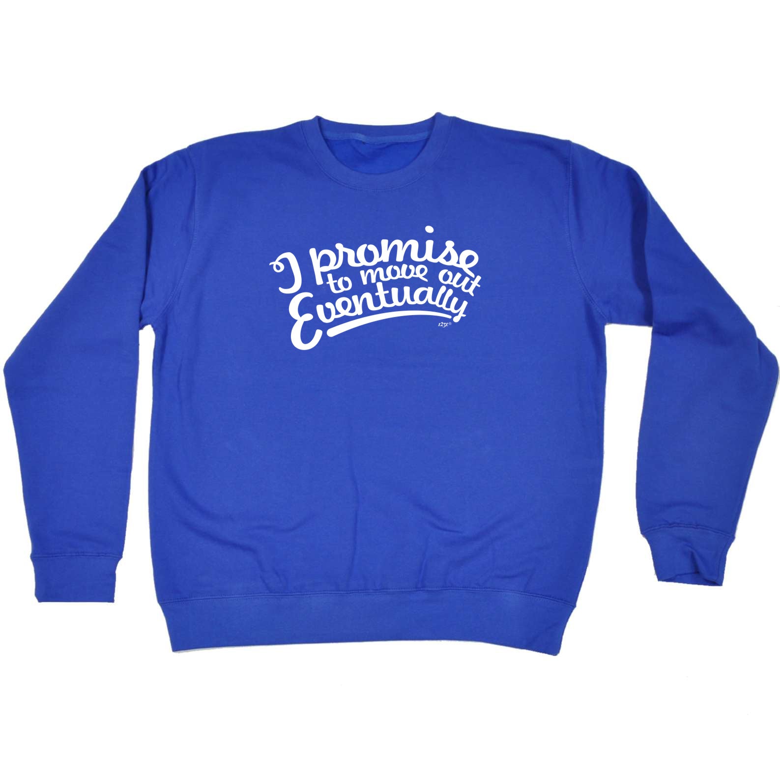 Promise To Move Out Eventually - Funny Sweatshirt