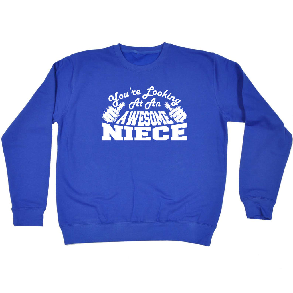 Youre Looking At An Awesome Niece - Funny Sweatshirt