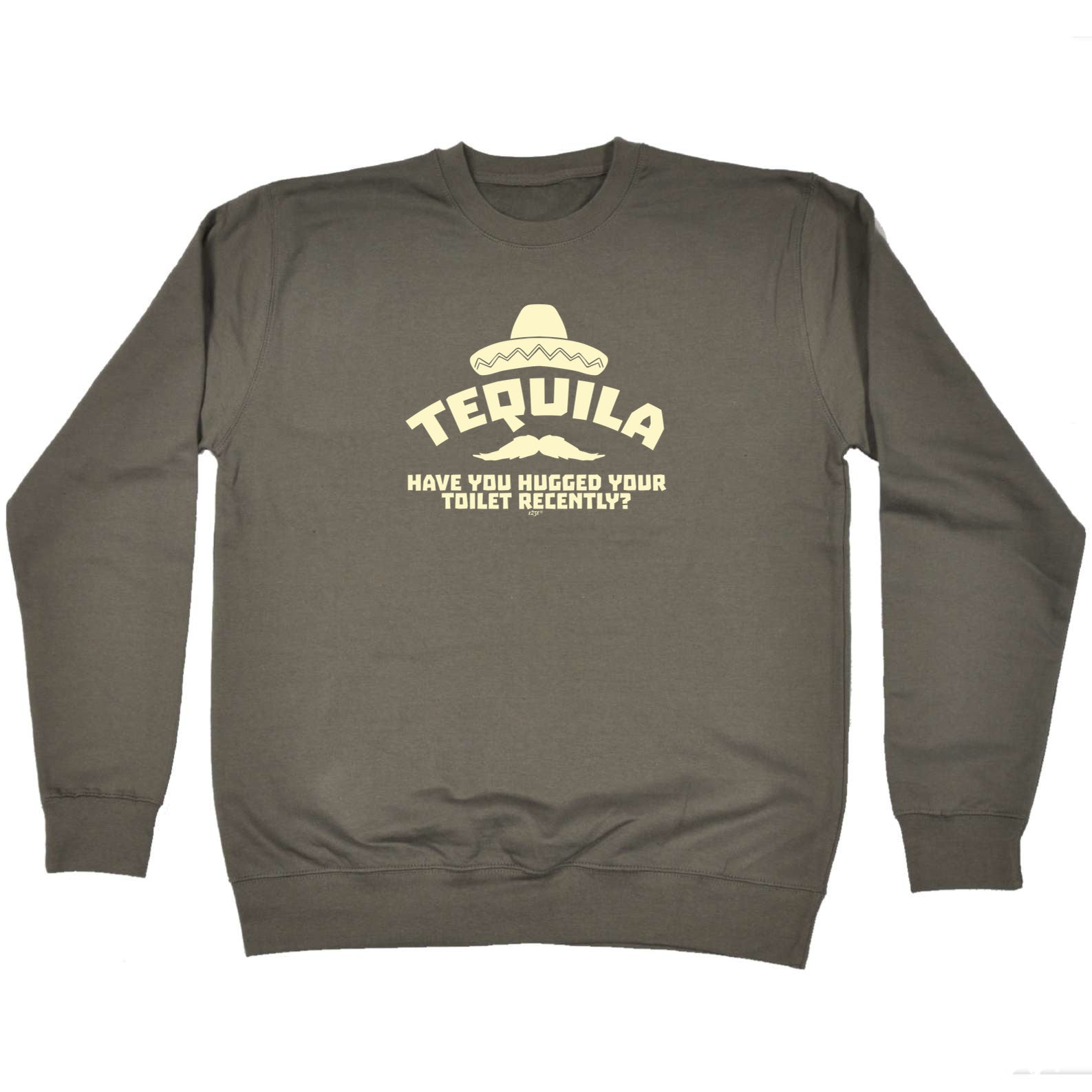 Tequila Have You Hugged Your Toilet - Funny Sweatshirt