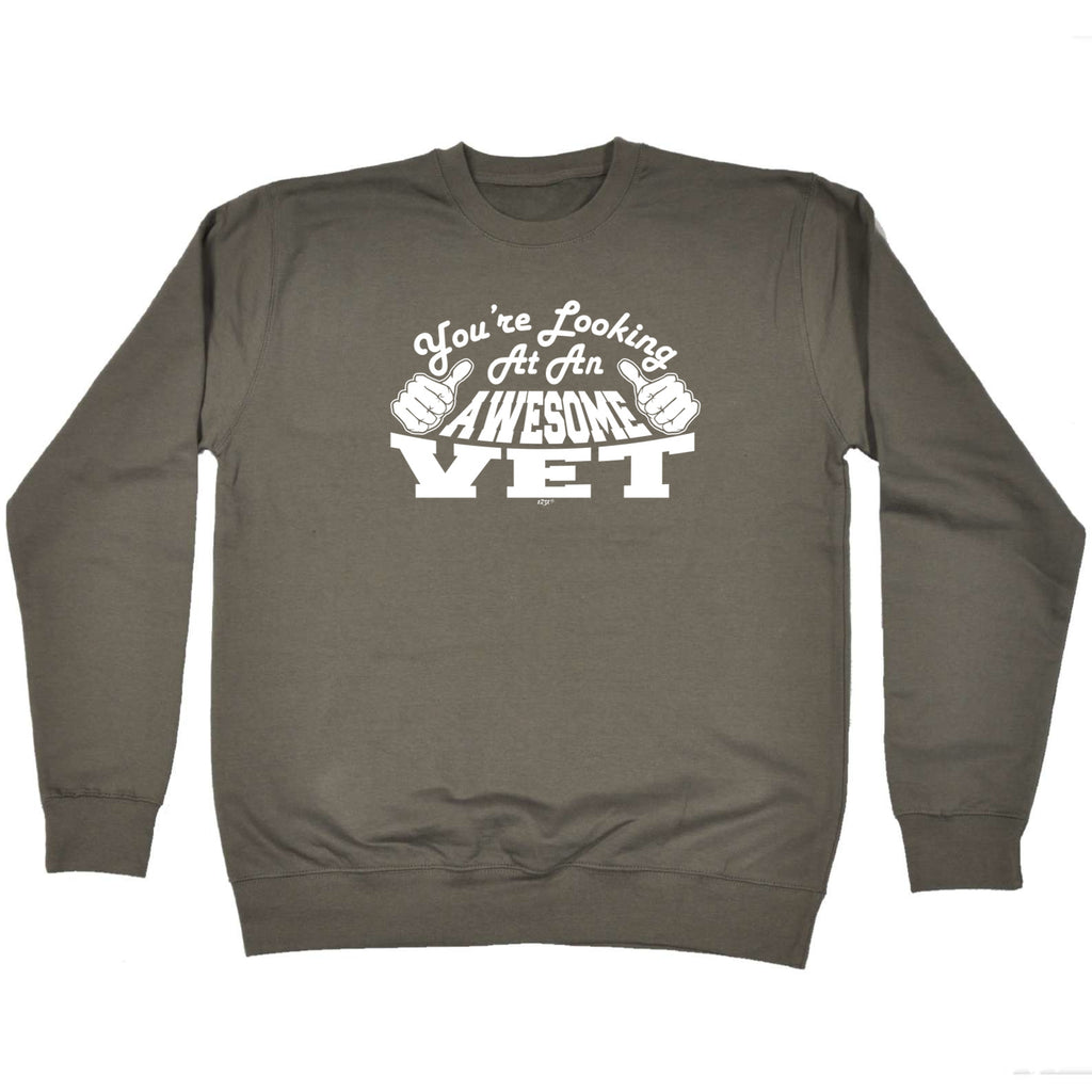 Youre Looking At An Awesome Vet - Funny Sweatshirt