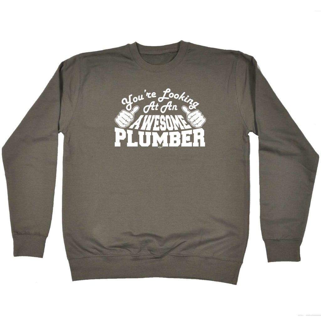 Youre Looking At An Awesome Plumber - Funny Sweatshirt