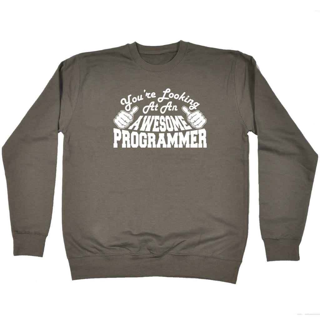 Youre Looking At An Awesome Programmer - Funny Sweatshirt