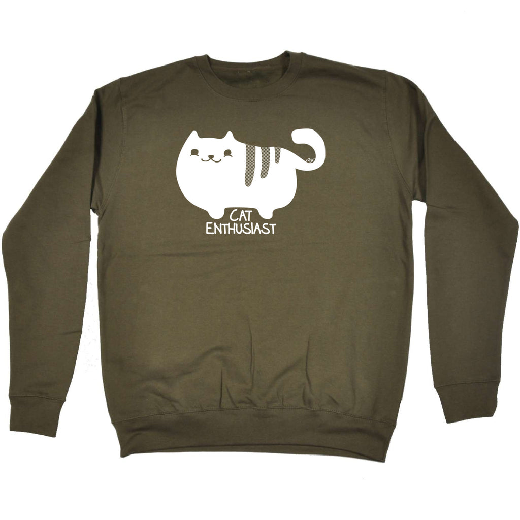 Cat Enthusiast - Funny Sweatshirt