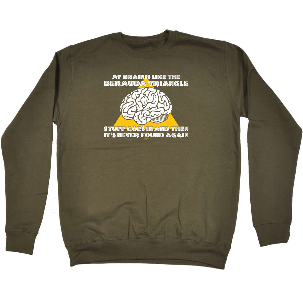 My Brain Is Like The Bermuda Triangle - Funny Sweatshirt