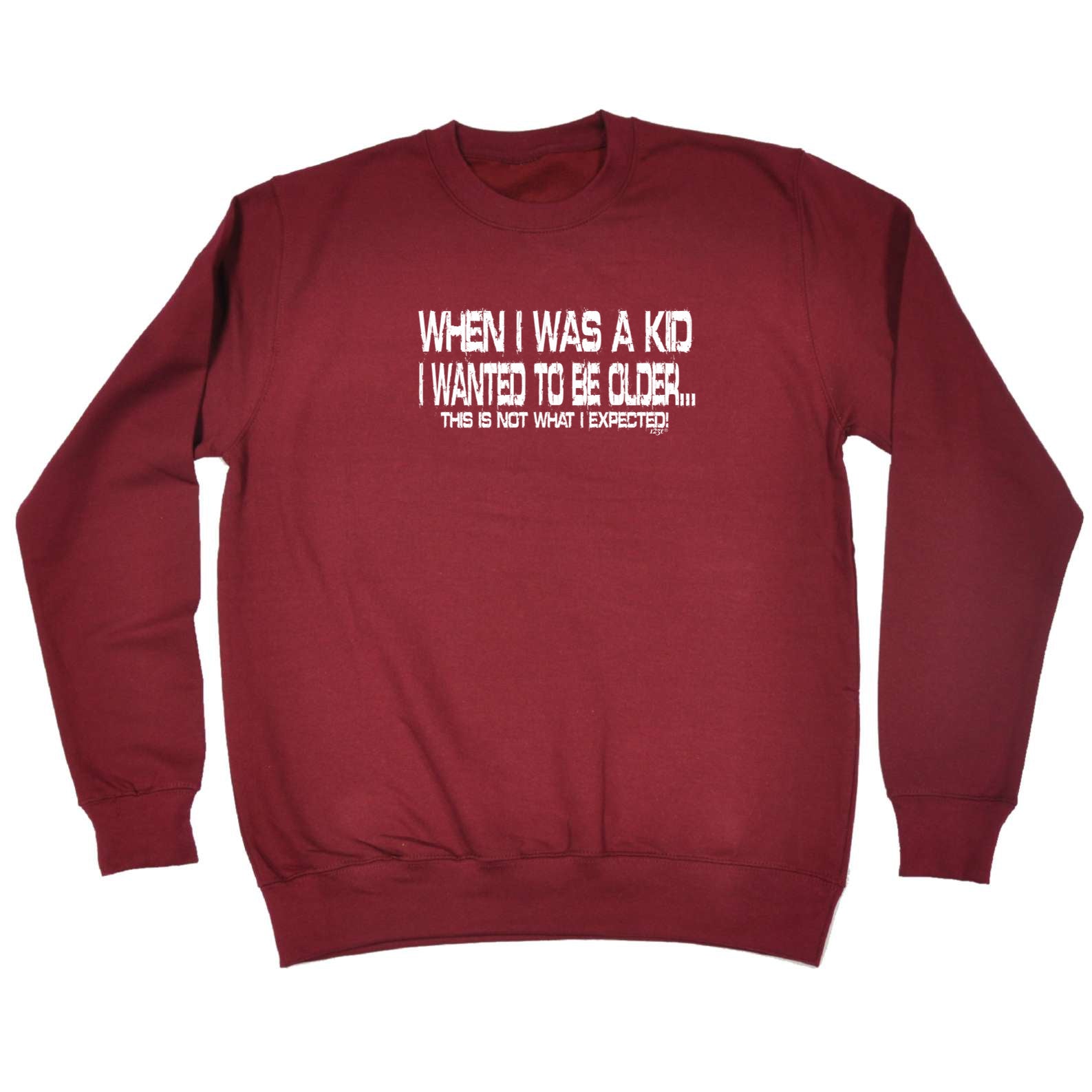 When Was A Kid Wanted To Be Older - Funny Sweatshirt