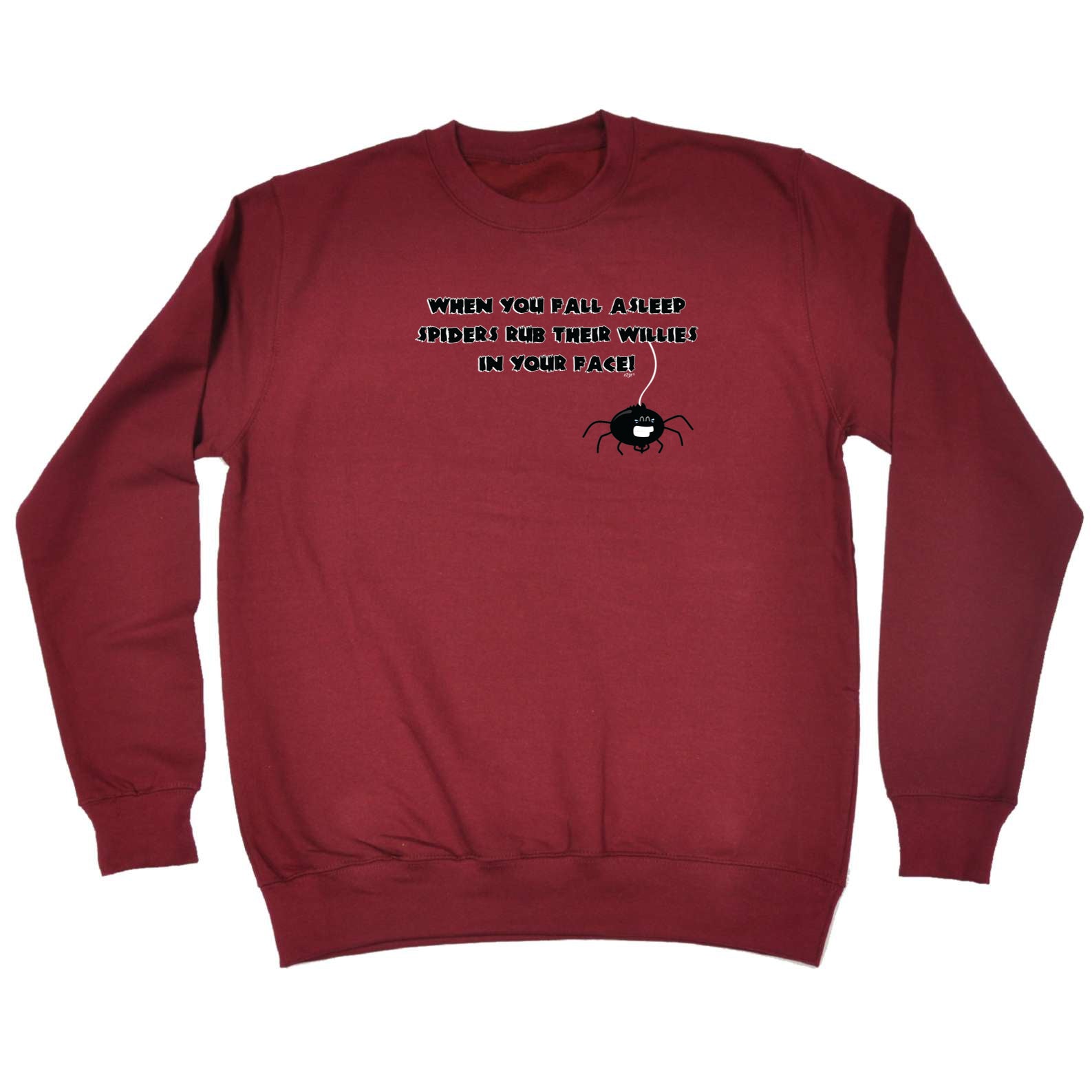 When You Fall Asleep Spiders Rub Their Willies On Your Face - Funny Sweatshirt