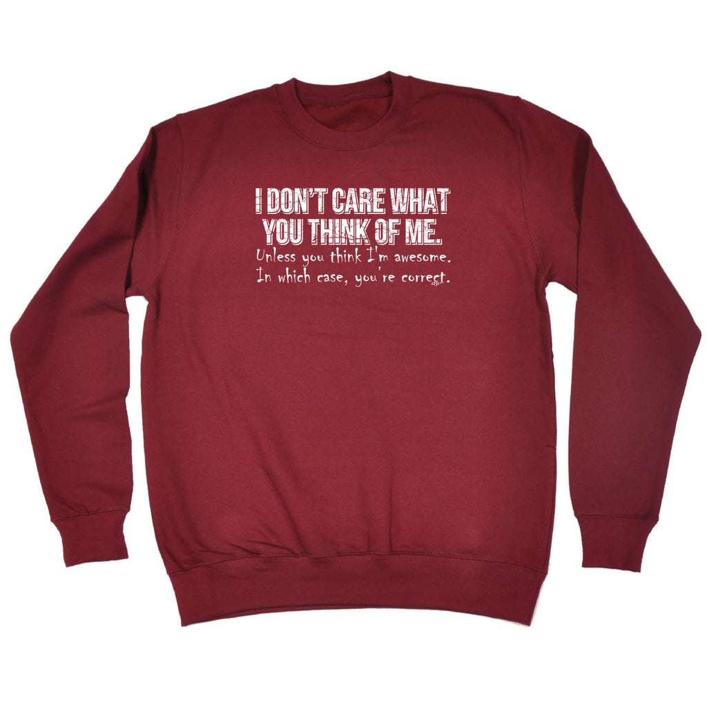 Dont Care What You Think Of Me Unless You Think Im Awesome - Funny Sweatshirt