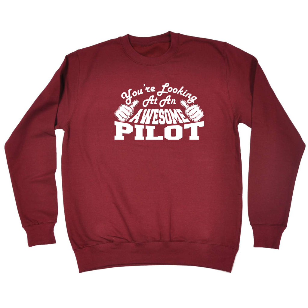 Youre Looking At An Awesome Pilot - Funny Sweatshirt