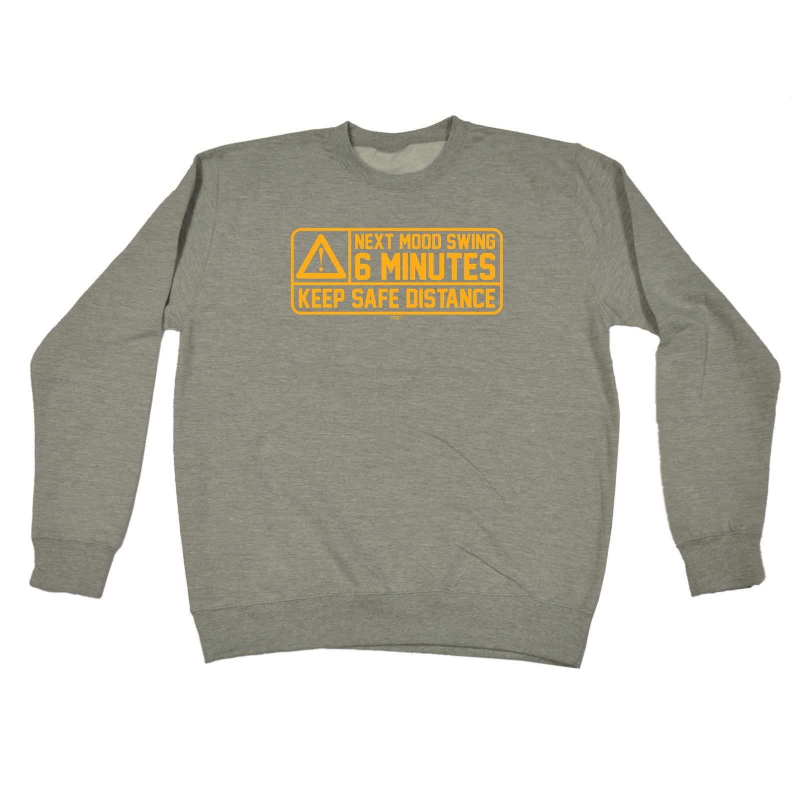 Next Mood Swing 6 Minutes - Funny Sweatshirt