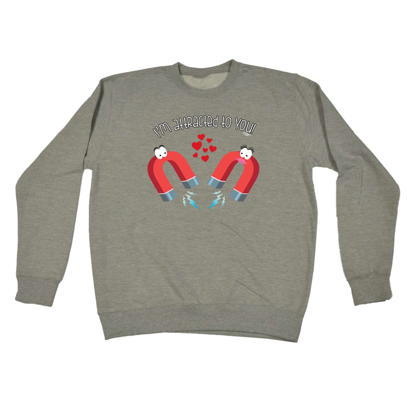 Im Attracted To You - Funny Sweatshirt
