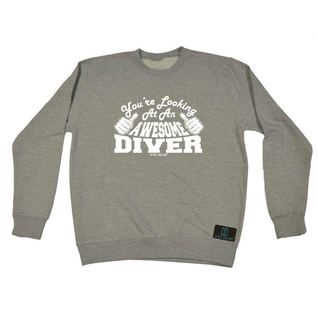 Youre Looking At An Awesome Diver Ow - Funny Sweatshirt