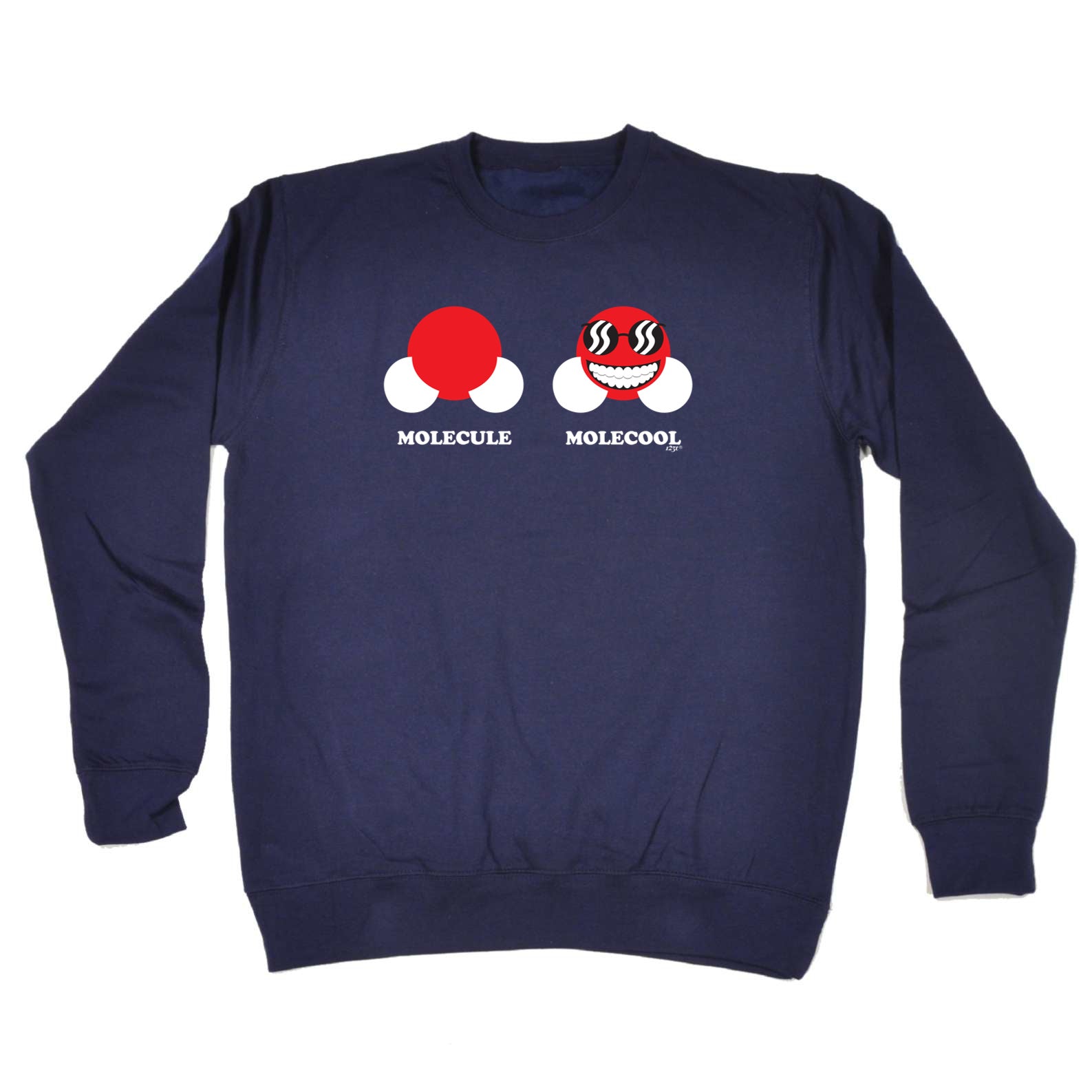 Molecule Molecool - Funny Sweatshirt