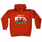 Wales - Funny Kids Children Hoodie