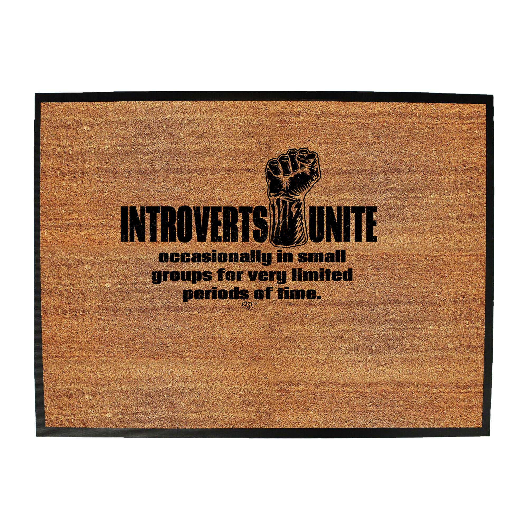 Introverts Unite Occasionally - Funny Novelty Doormat