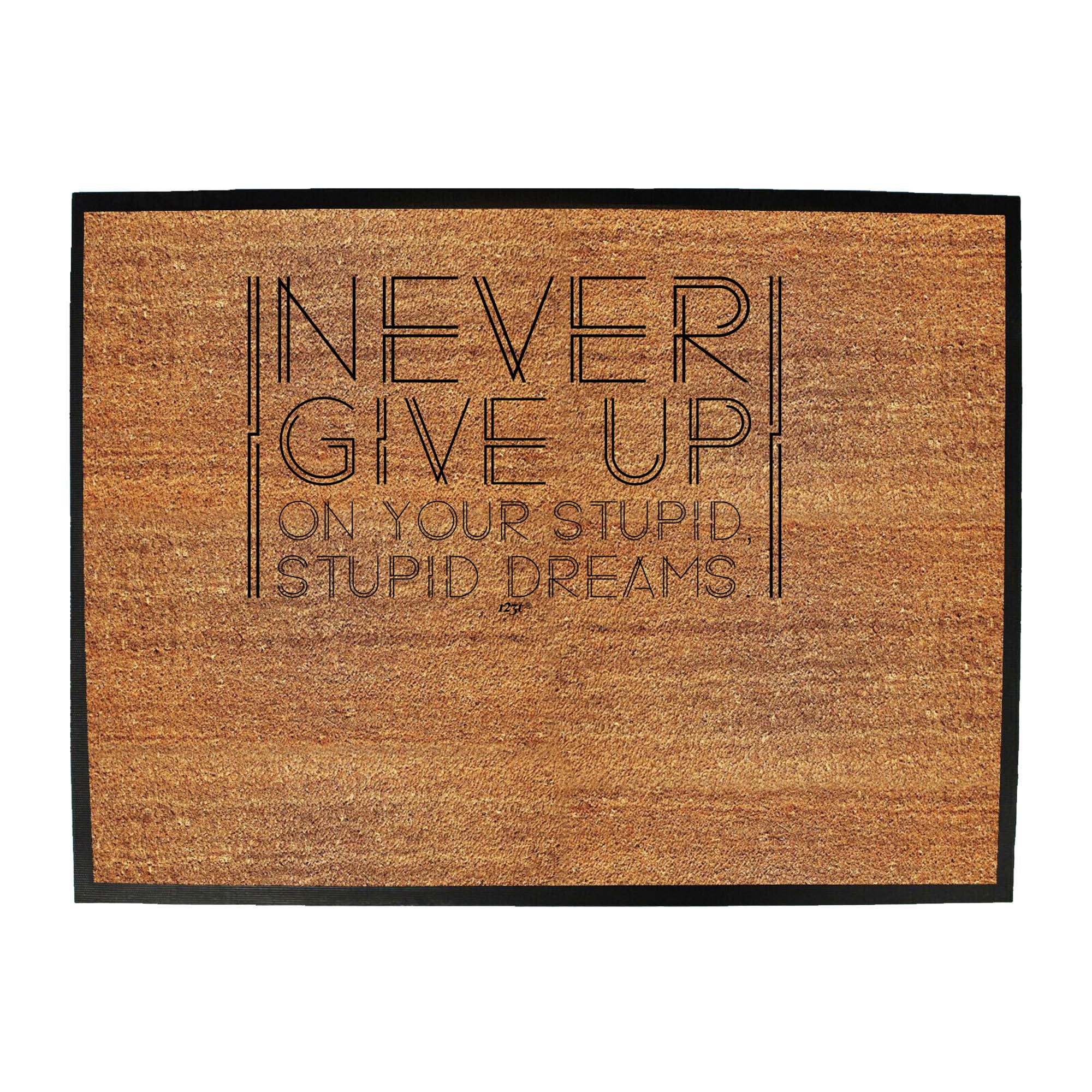 Never Give Up On Your Stupid Dreams - Funny Novelty Doormat