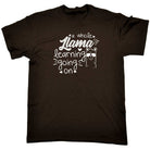 A Whole Llama Learning Going On Teacher - Mens Funny T-Shirt Tshirts - 123t Australia | Funny T-Shirts Mugs Novelty Gifts