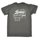 A Whole Llama Learning Going On Teacher - Mens Funny T-Shirt Tshirts - 123t Australia | Funny T-Shirts Mugs Novelty Gifts