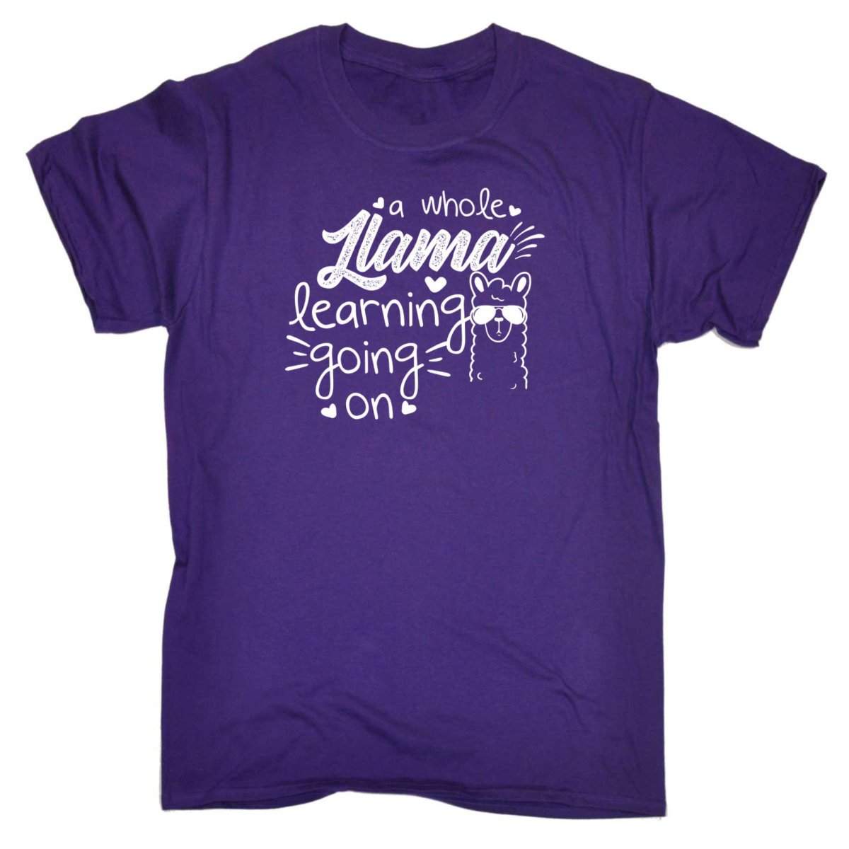 A Whole Llama Learning Going On Teacher - Mens Funny T-Shirt Tshirts - 123t Australia | Funny T-Shirts Mugs Novelty Gifts