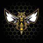 Angry Bee - Mens 123t Funny T-Shirt Tshirts