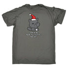 Christmas Cat Lookatme Festive Animal - Mens Funny T-Shirt Tshirts - 123t Australia | Funny T-Shirts Mugs Novelty Gifts