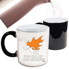 Flame Do All My Own Stunts - Funny Colour Changing Mug Cup