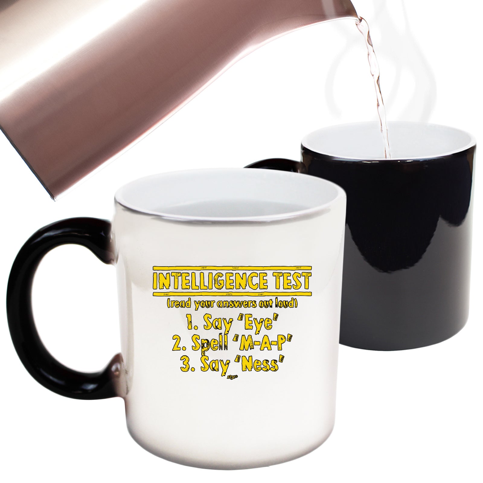 Intelligence Test - Funny Colour Changing Mug Cup