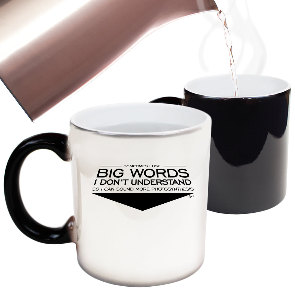 Sometimes Use Big Words Dont Understand - Funny Colour Changing Mug