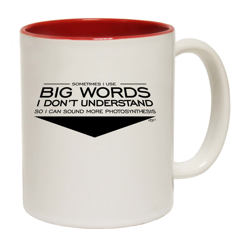 Sometimes Use Big Words Dont Understand - Funny Coffee Mug