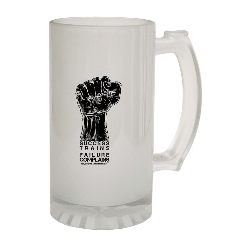 Swps Success Trains Failure Complains - Funny Beer Stein